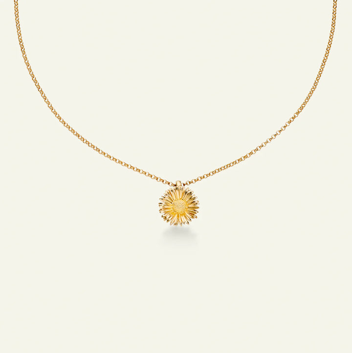 Flora Danica Tusindfryd Halskæde med Vedhæng Forgyldt – CD-NE-G