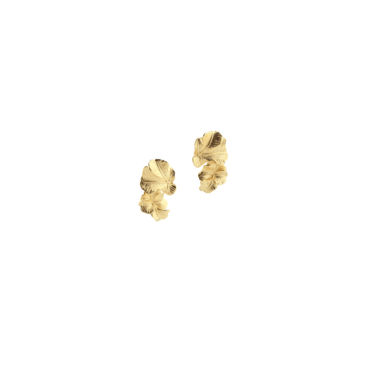 Aqua Dulce Folio Big earrings in gold-plated silver with leaf-inspired detail. Model 6186-1