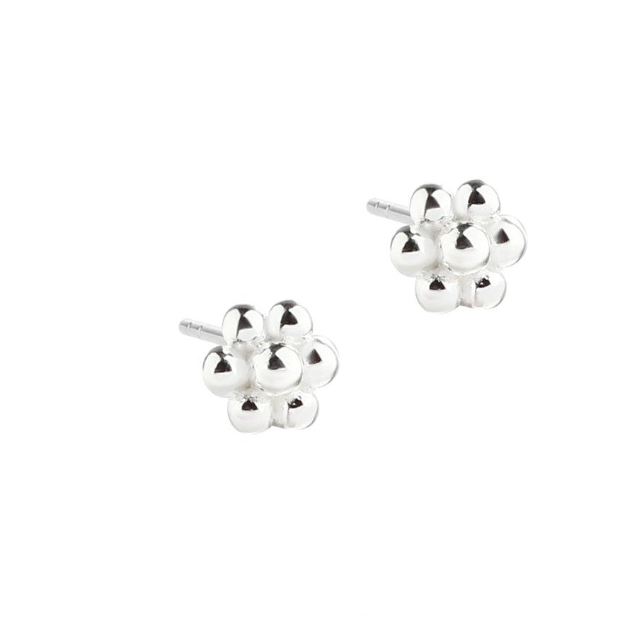 Aqua Dulce Mini Lots of Flowers earrings in silver with small shiny flowers, Model 5673-1
