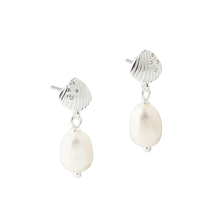 Aqua Dulce Shelly Pearl silver earrings with white pearls and shell-shaped detail, Model 6265-1.