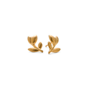 Gold Plated Earrings