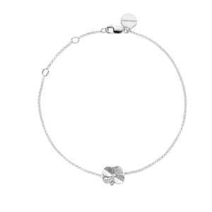 Flora Danica Four-leaf clover