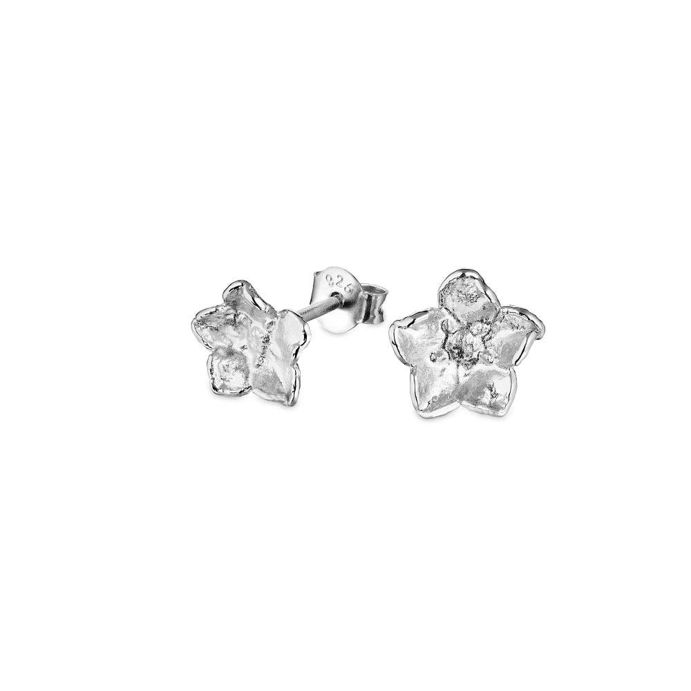 Flora Danica Medium Forget-me-not earrings in silver, showing detailed flower-shaped earrings. Model 907-FMN-STPC-MEDIUM-S