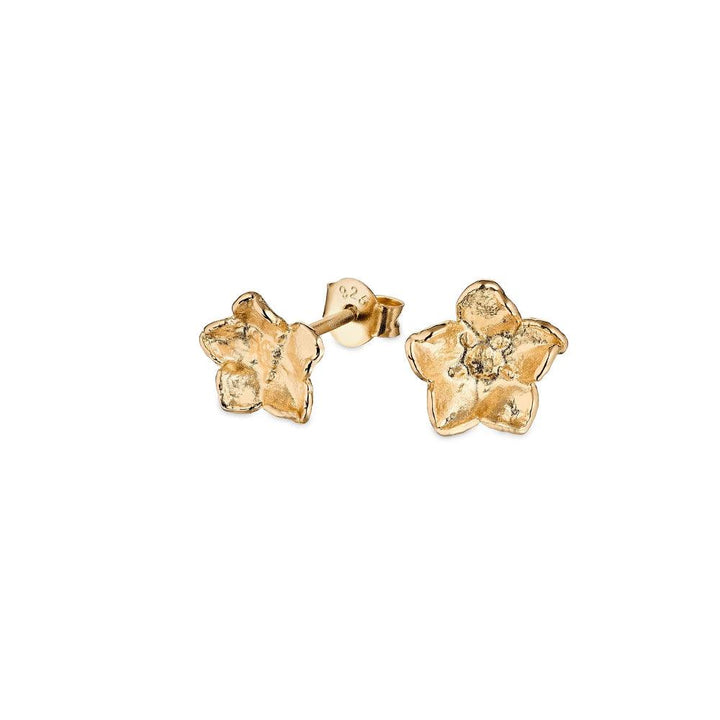 Flora Danica Medium Forget-me-not earrings in gold-plated silver, floral motif against a white background. Model 907-FMN-STPC-MEDIUM-G-1