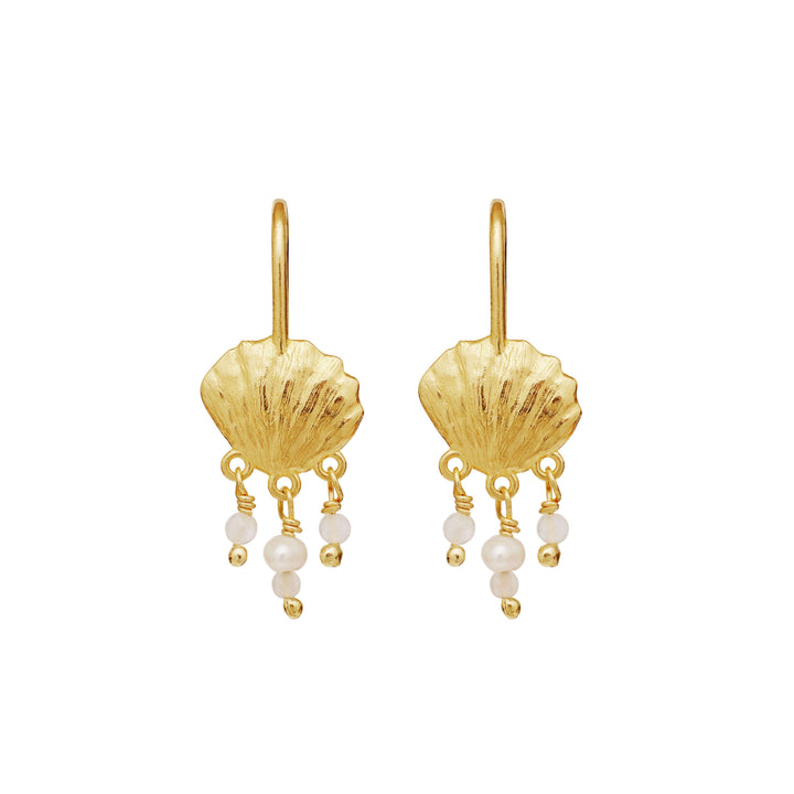 maanesten-alana-gold-plated-earrings-with-shell motif shows two earrings in gold with a shell motif and dangling pearls. Model 9987a-1