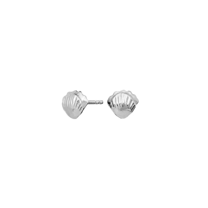 Maanesten Maurea Silver earrings appear as small, elegant shell-shaped studs. Model 9902c-1
