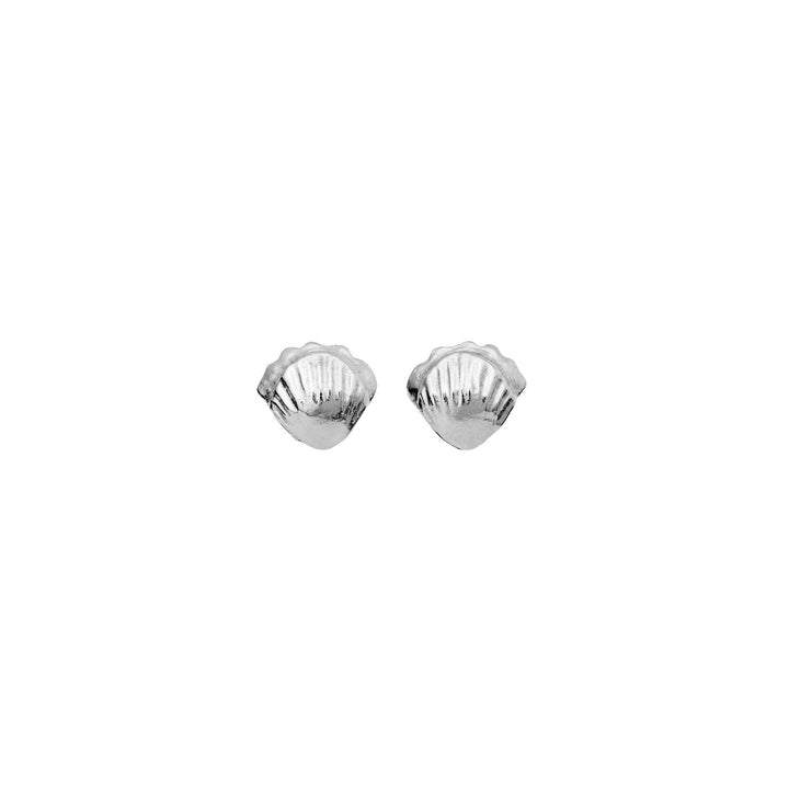 Maanesten Maurea Earrings silver, small shell-shaped studs with a glossy surface. Model 9902c