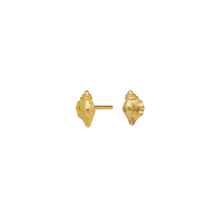 Maanesten Sora gold-plated ear studs with conch motif shown on white background, Model 9978a-2.