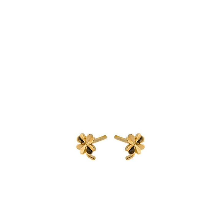 Pernille Corydon Mini Clover earrings in gold-plated silver, small four-leaf clover earrings on a white background. Model E-319-GP