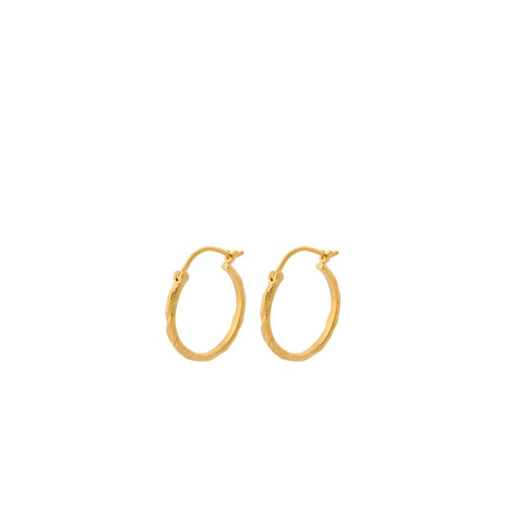 Pernille Corydon Small Ice Creoles in gold-plated silver, round earrings with a simple, matte finish. Model E-236-GP-1.