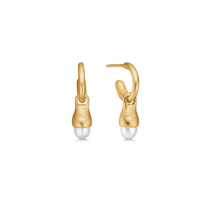 studio-z-gold-plated-acorn-creole-with-pearl, elegant earrings in matte gold-plated finish with round white pearl, Model7213873