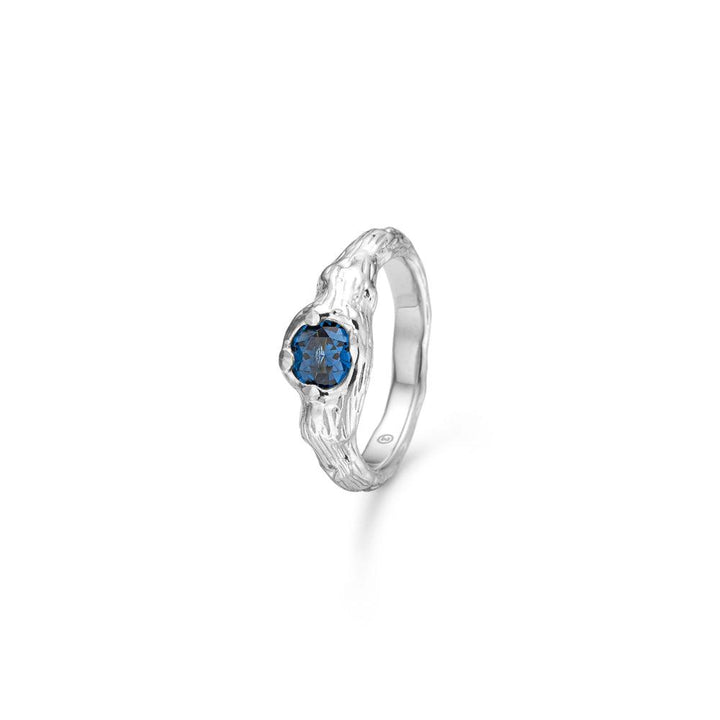 Studio Z Misty Forest Ring Silver with blue stones, showing organic structure and elegant design. Model 7147821-001-1