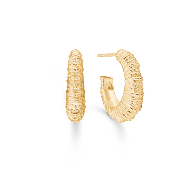 Studio Z Seashell Secrets gold-plated earrings in a large, round model with a wavy surface. Model 7210908