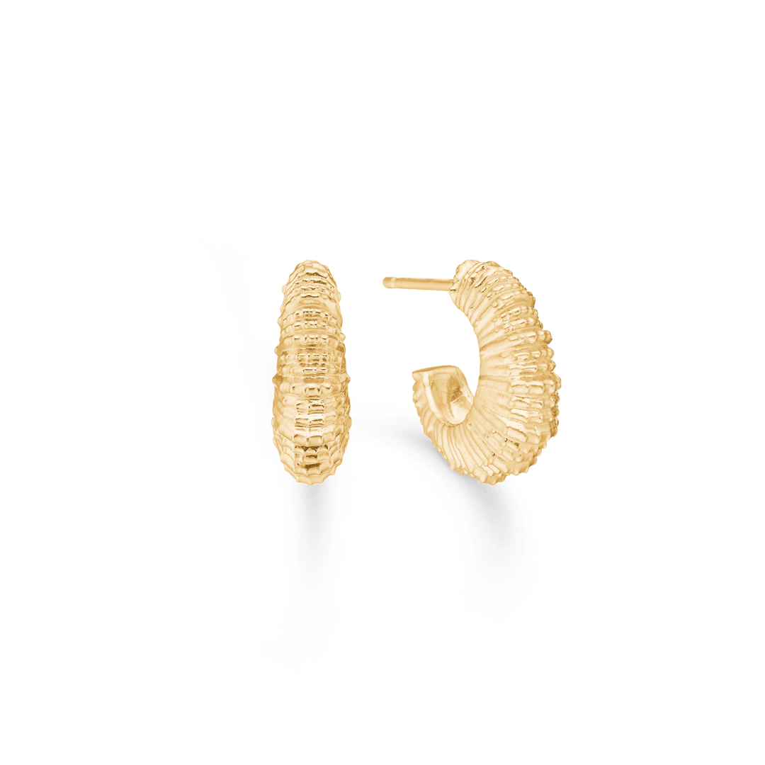 Studio Z Seashell Secrets gold-plated earrings in wavy seashell design, Model 7210907-1.