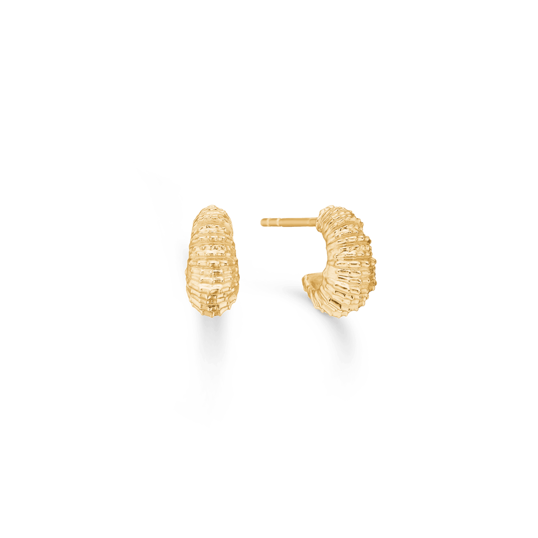 Studio Z Seashell Secrets Gold Plated Earrings small, visible in gold with a textured surface. Model 7210906-1