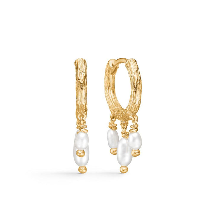 studio-z-twine-creole-with-pearls, golden creoles with elegant white freshwater pearls, Model 7213854-1