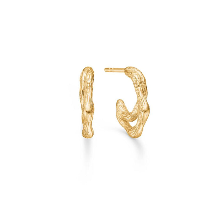 Studio Z Twine Gold Creole shows a set of small creoles in an organic, twisted golden design, Model 7210853.