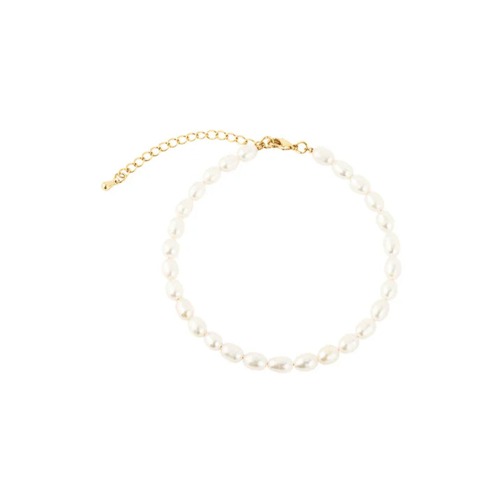 Vincent Venus Gold Plated Pearl Bracelet shown against white background, with rounded white pearls and gold plated chain clasp. Model VJ082-UBG-2
