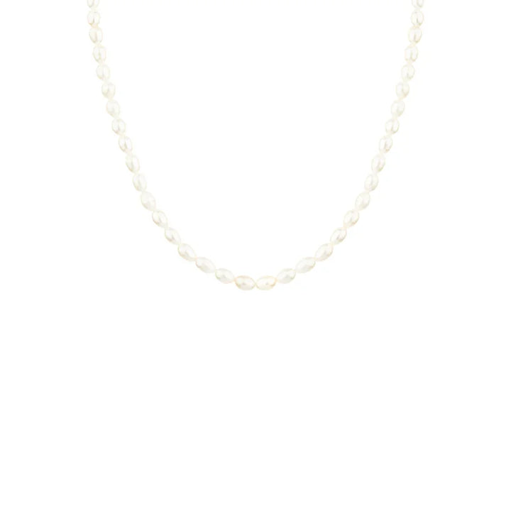 Vincent Venus Gold Plated Pearl Necklace VJ082, elegant necklace with white oval pearls. Model VJ082