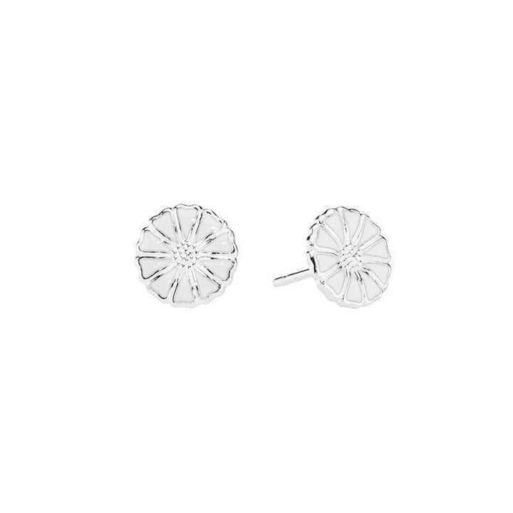 Daisy silver studs 9mm shows a pair of round, white daisy flower studs in shiny silver. Model 909009-4-H-909009-4-H-1.