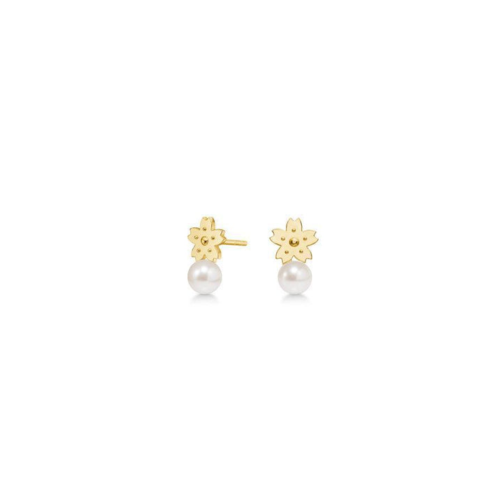 Polar Jewelry Sakura gold plated stud earrings appear as small flowers with white pearl, Model sak-st-gd-wp-00117-1.